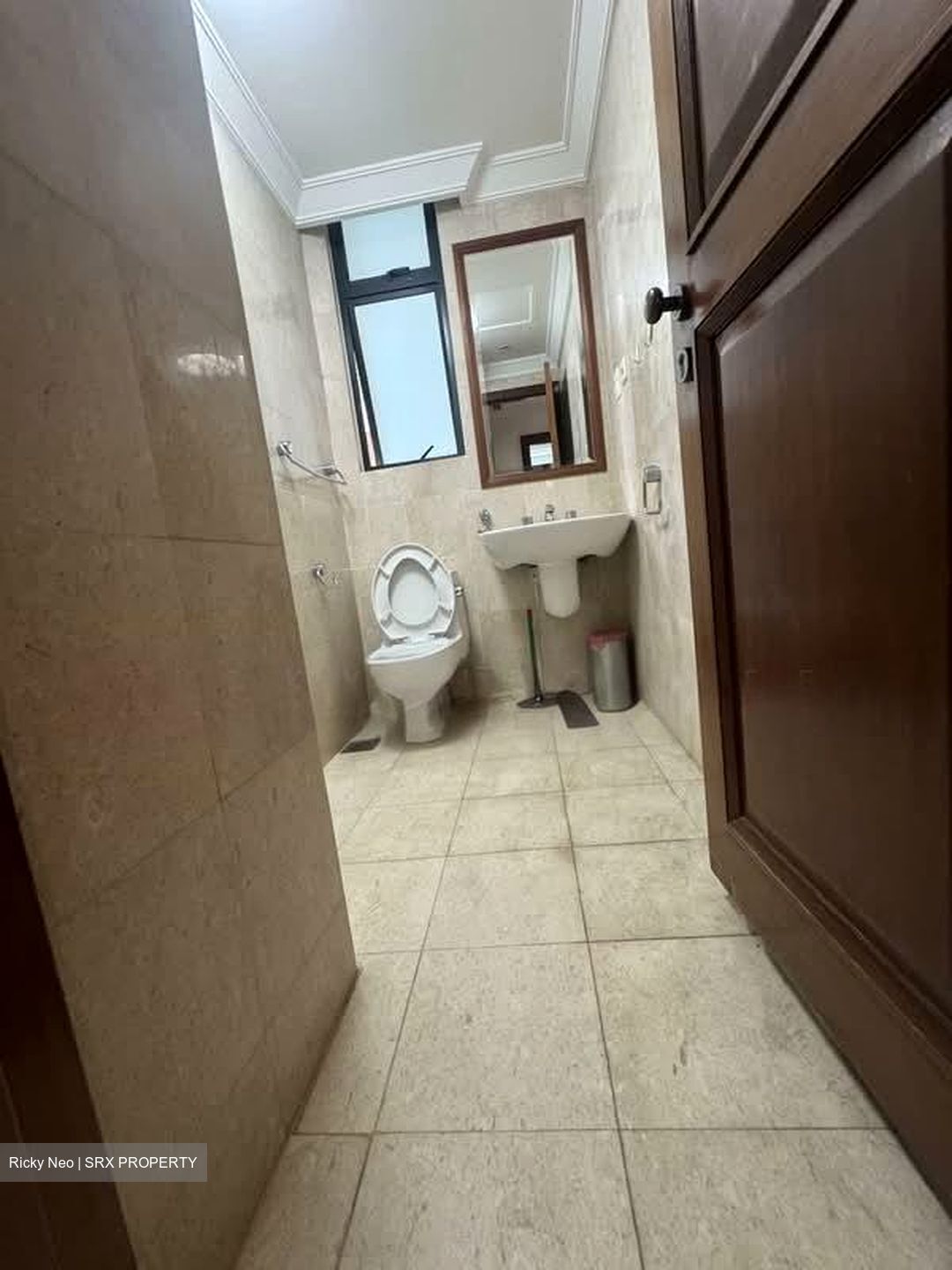 Valley Park (D10), Condominium #595772921